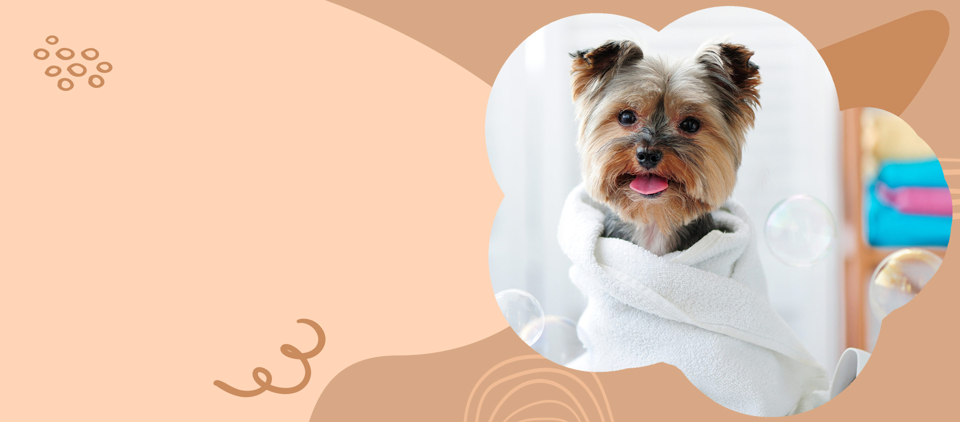 Dog Grooming Services